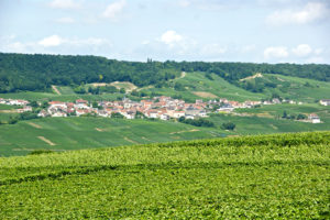 Kleine Weinorte in der Champagne